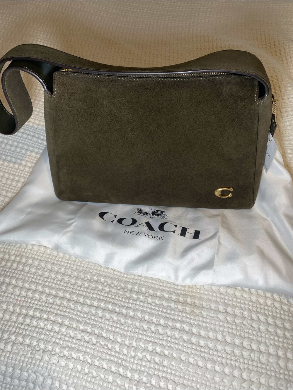 NWT Coach Olive Suede Lola Bag with brass hardware